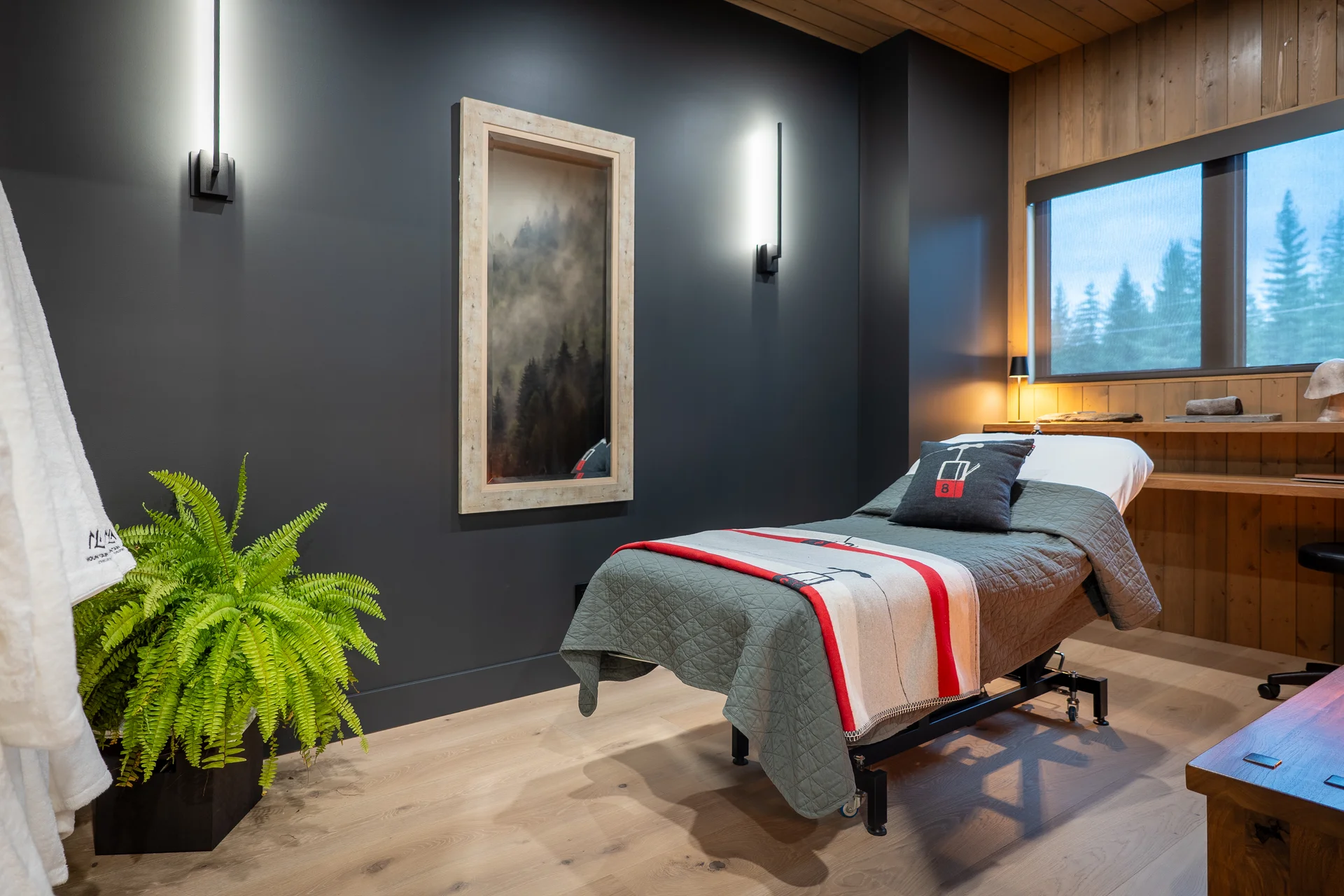 Mountain Lake - boot-room, boot-room-health, massage-room