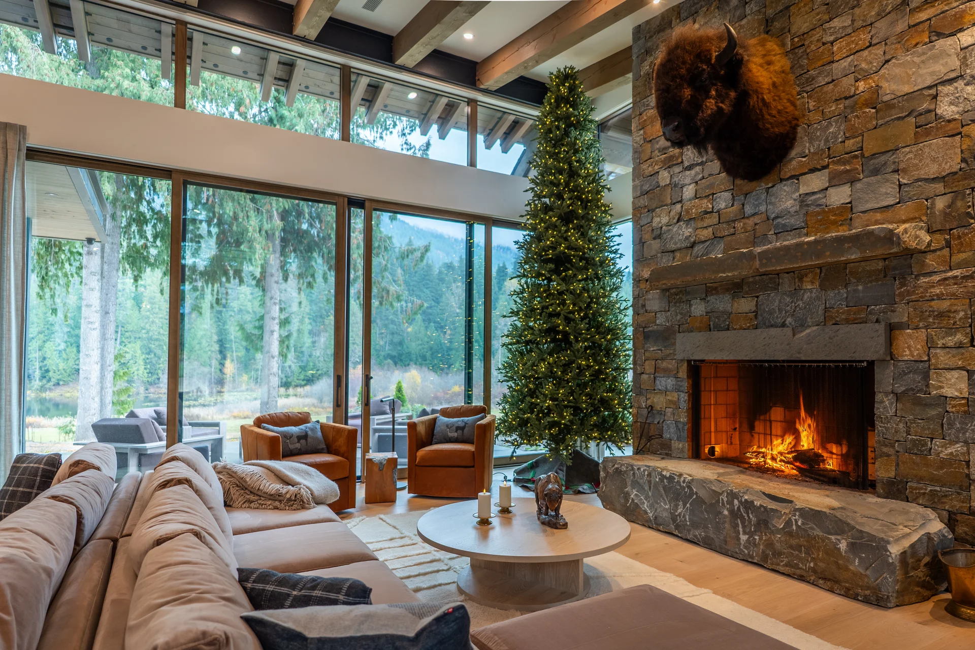 Mountain Lake - communal-areas, communal-areas-great-room, great-room, fireplace