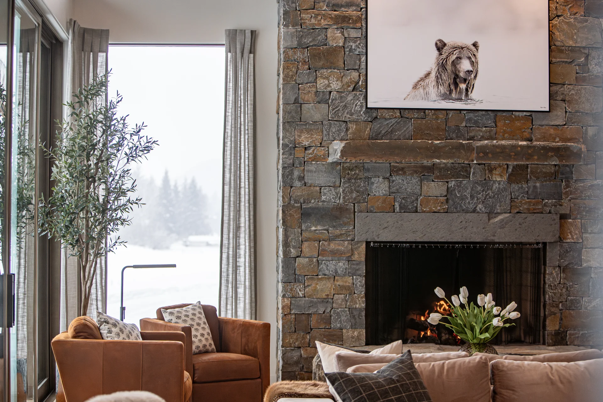 Mountain Lake - communal-areas, communal-areas-great-room, great-room, fireplace, the-building, the-building-interior