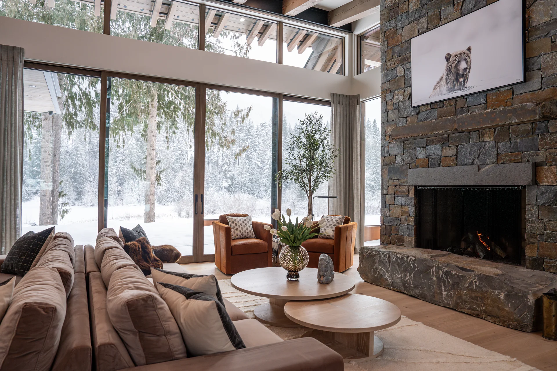 Mountain Lake - communal-areas, communal-areas-great-room, great-room, fireplace