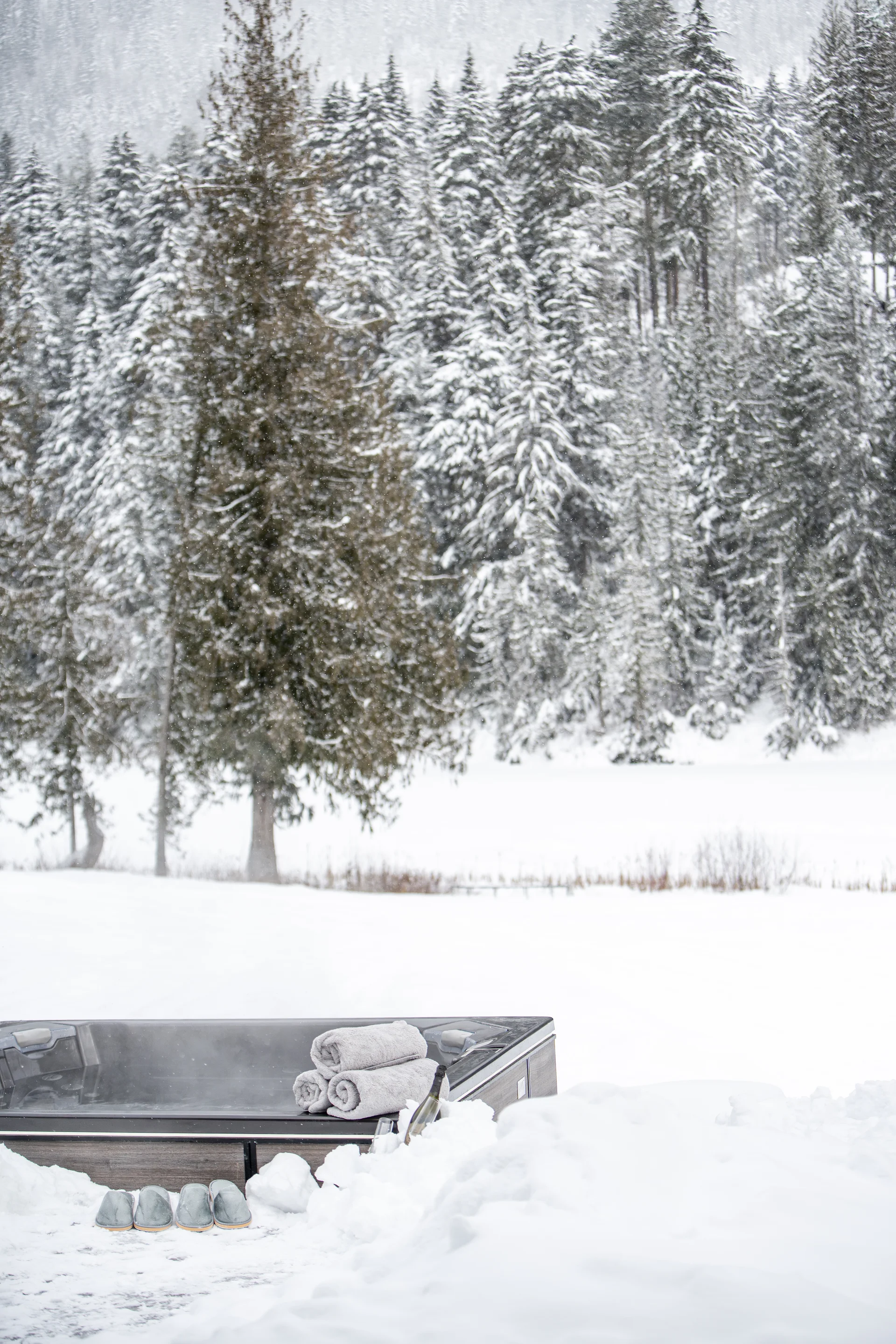 Mountain Lake - communal-areas, communal-areas-patio, hot-tub, property-view, the-property